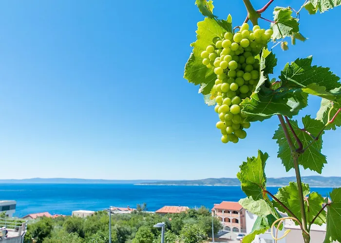 Appartamento Robert Brela